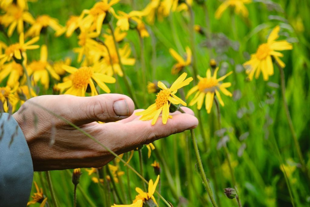 Вальс цветов!